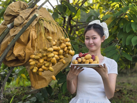 THU HOẠCH CHÀ LÀ