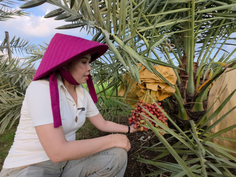 Ảnh farm của HTX Nông Nghiệp Bình Dương