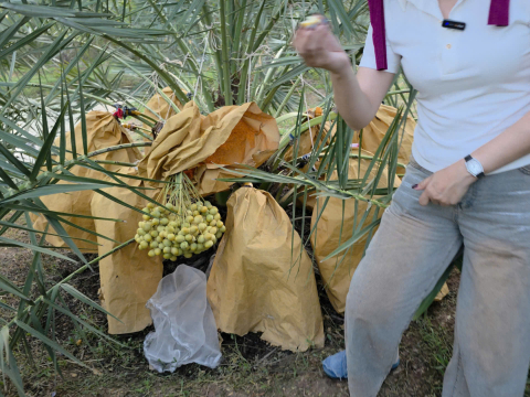 Ảnh farm của HTX Nông Nghiệp Bình Dương