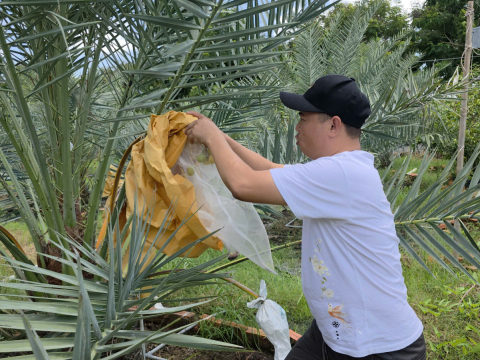 Ảnh farm của HTX Nông Nghiệp Bình Dương