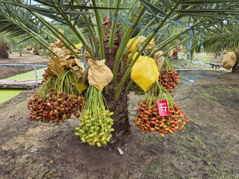 Ảnh farm của HTX Nông Nghiệp Bình Dương