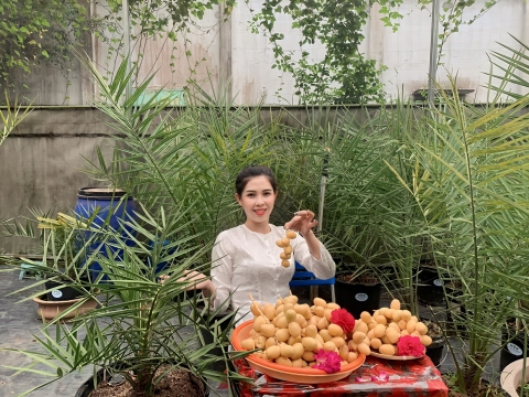 THU HOẠCH CHÀ LÀ