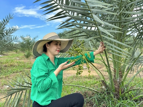 Ảnh farm của HTX Nông Nghiệp Bình Dương