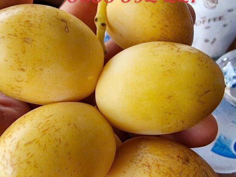 Ảnh Trái Cây Của Hợp Tác Xã