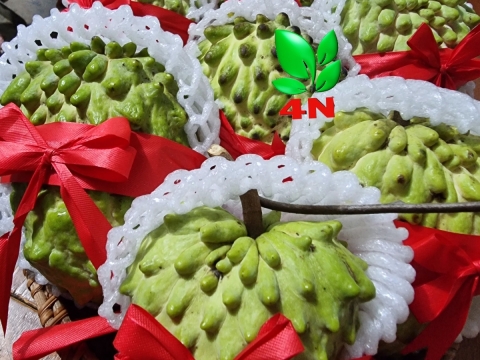 Ảnh Trái Cây Của Hợp Tác Xã