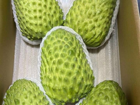 Ảnh Trái Cây Của Hợp Tác Xã