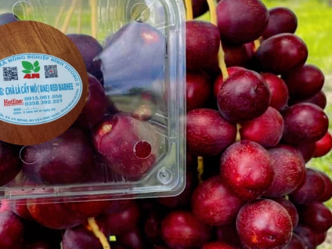 Ảnh Trái Cây Của Hợp Tác Xã