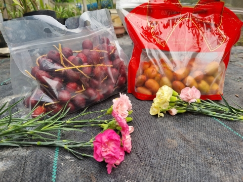 Ảnh Trái Cây Của Hợp Tác Xã