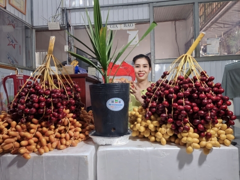 Ảnh Trái Cây Của Hợp Tác Xã