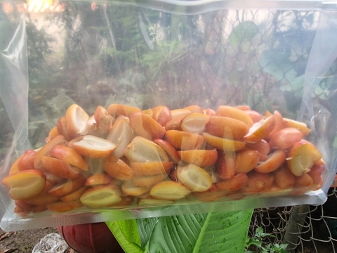 Ảnh Trái Cây Của Hợp Tác Xã