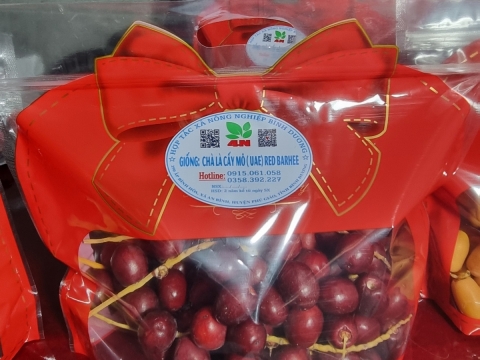 Ảnh Trái Cây Của Hợp Tác Xã