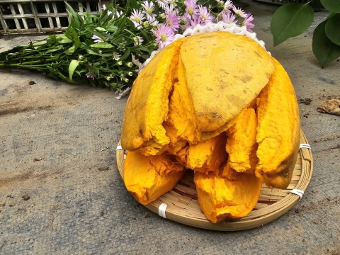 Ảnh Trái Cây Của Hợp Tác Xã