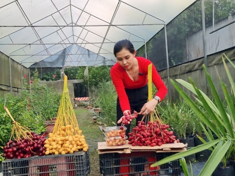 Ảnh farm của HTX Nông Nghiệp Bình Dương