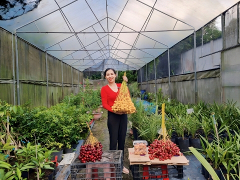 Ảnh farm của HTX Nông Nghiệp Bình Dương