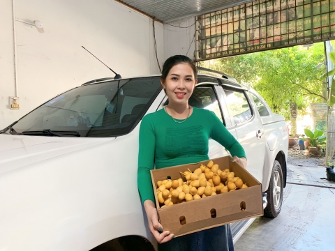 Ảnh Trái Cây Của Hợp Tác Xã