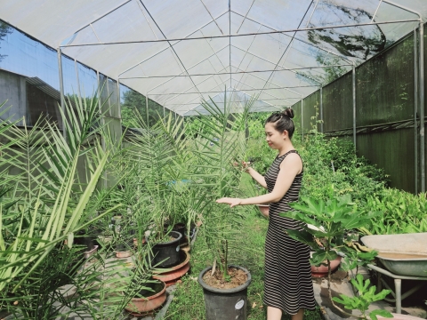 Ảnh farm của HTX Nông Nghiệp Bình Dương