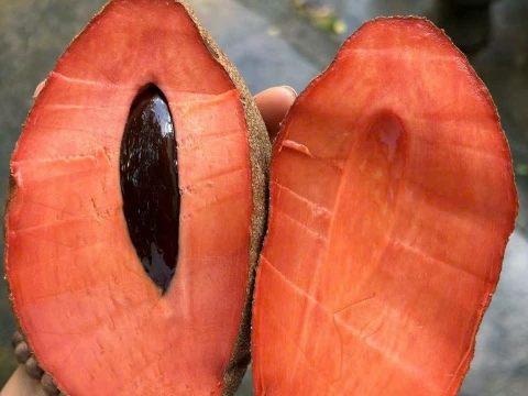 Ảnh Trái Cây Của Hợp Tác Xã