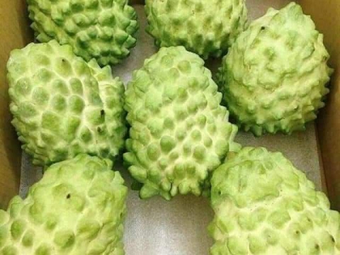 Ảnh Trái Cây Của Hợp Tác Xã