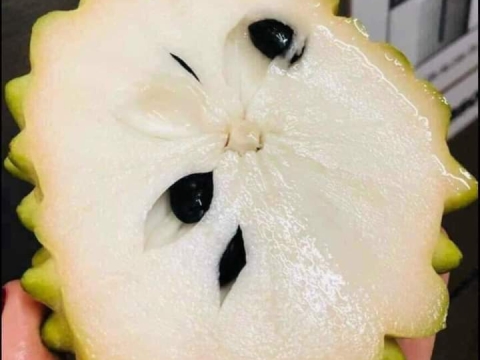 Ảnh Trái Cây Của Hợp Tác Xã