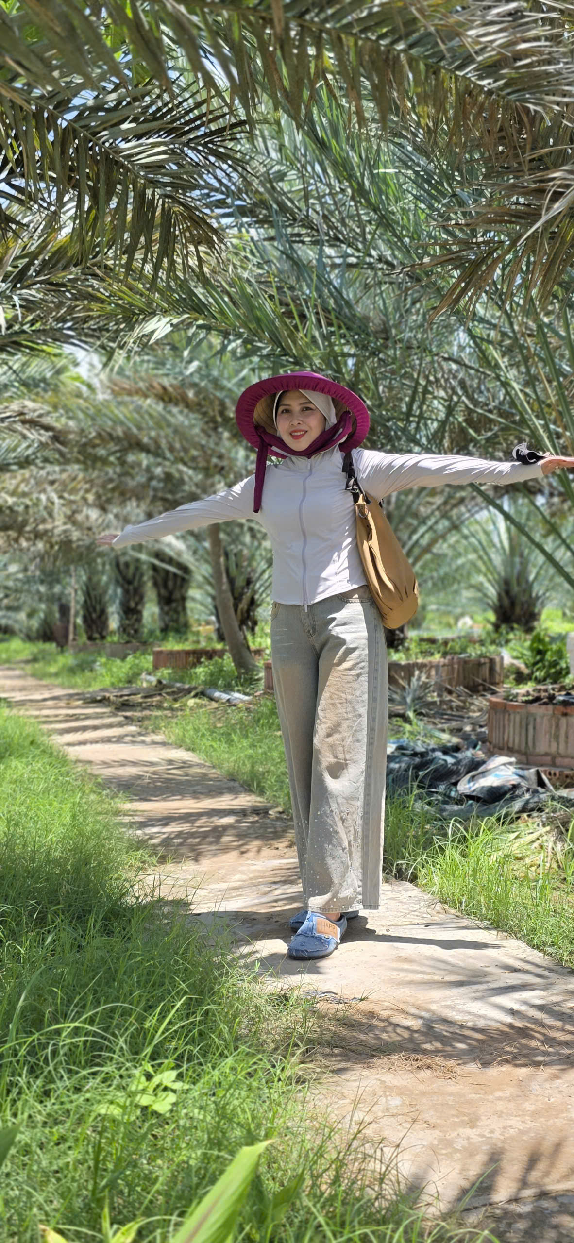 cây giống chà là tại Bình Dương