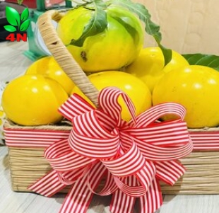 Trái Vú Sữa Hoàng Kim