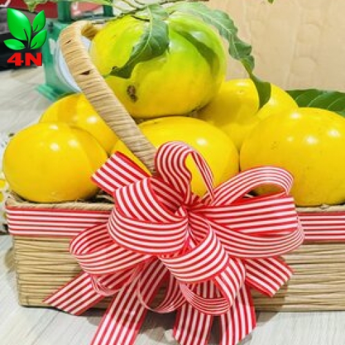 Trái Vú Sữa Hoàng Kim