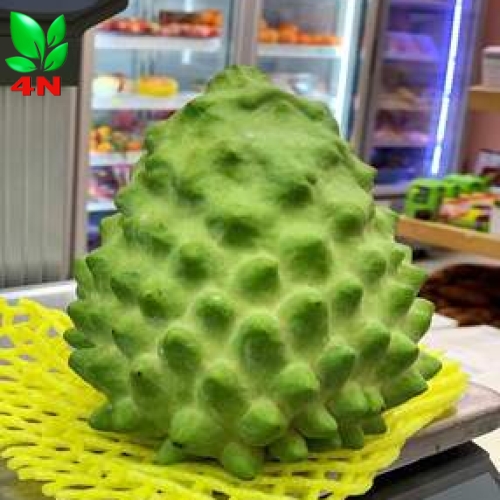 Trái Na Dứa Đài Loan